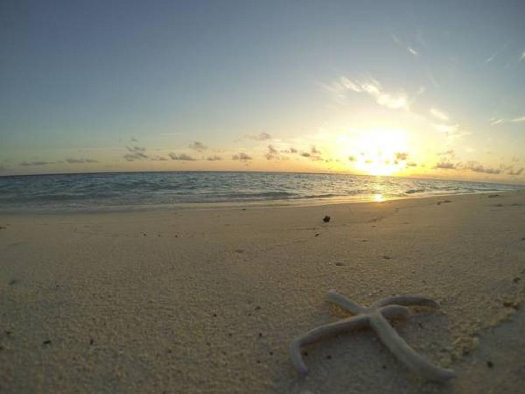 Local Island Inn Hangnaameedhoo Kültér fotó