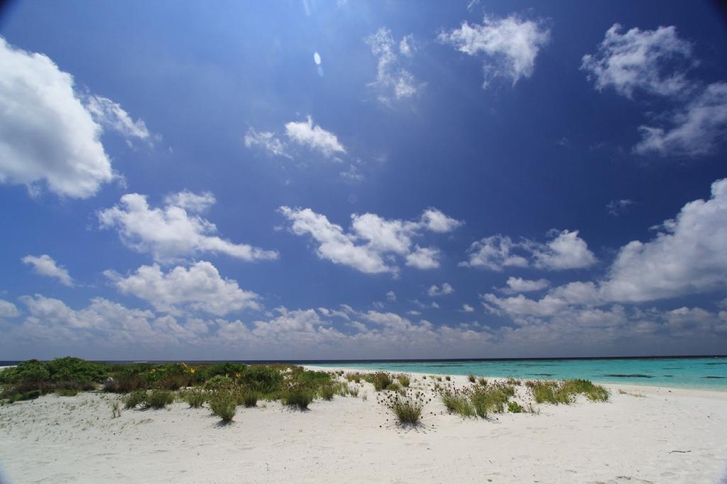 Local Island Inn Hangnaameedhoo Kültér fotó