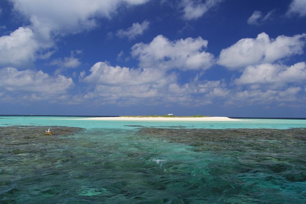 Local Island Inn Hangnaameedhoo Kültér fotó