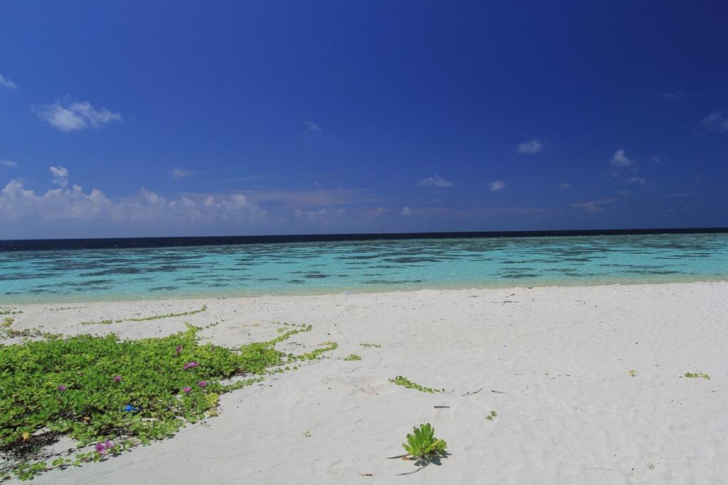 Local Island Inn Hangnaameedhoo Kültér fotó