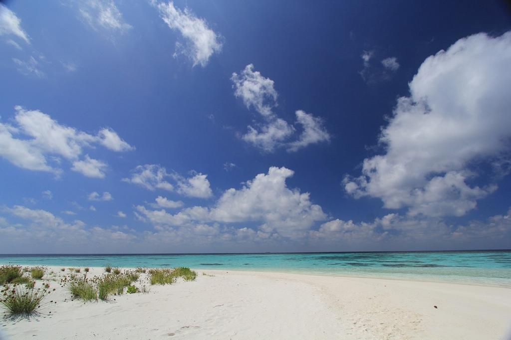 Local Island Inn Hangnaameedhoo Kültér fotó